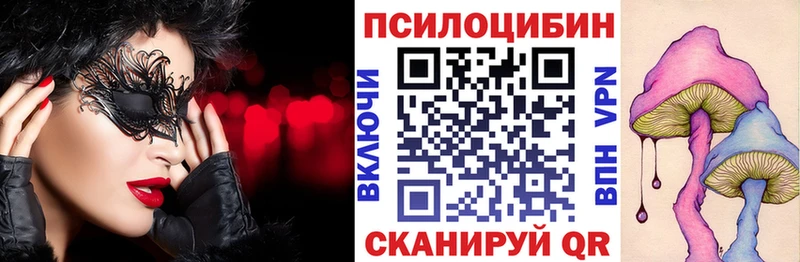 где можно купить наркотик Нелидово Псилоцибиновые грибы MAGIC MUSHROOMS